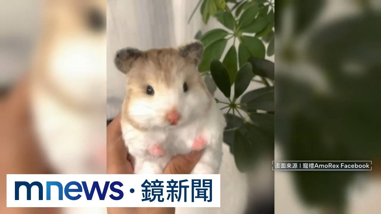 獨家／臉書下單匯款後未出貨還要個資　律師：典型詐騙手法｜#鏡新聞