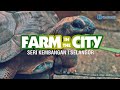 FARM IN THE CITY SERI KEMBANGAN рџ Ірџ ѕ 4K FARM IN THE CITY SERI KEMBANGAN рџ Ірџ ѕ 4K