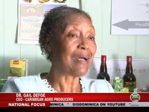 GIS Dominica Special Report: Herb Farming Proposed to Expand Agriculture