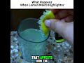 What Happens When Lemon Meets Highlighter #science #facts