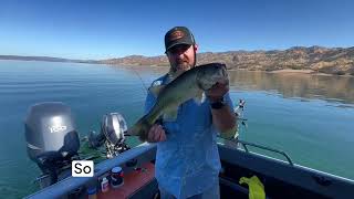 Fall Transition at Lake Berryessa  We Found the Fish at 60 Feet! #MrSweeney