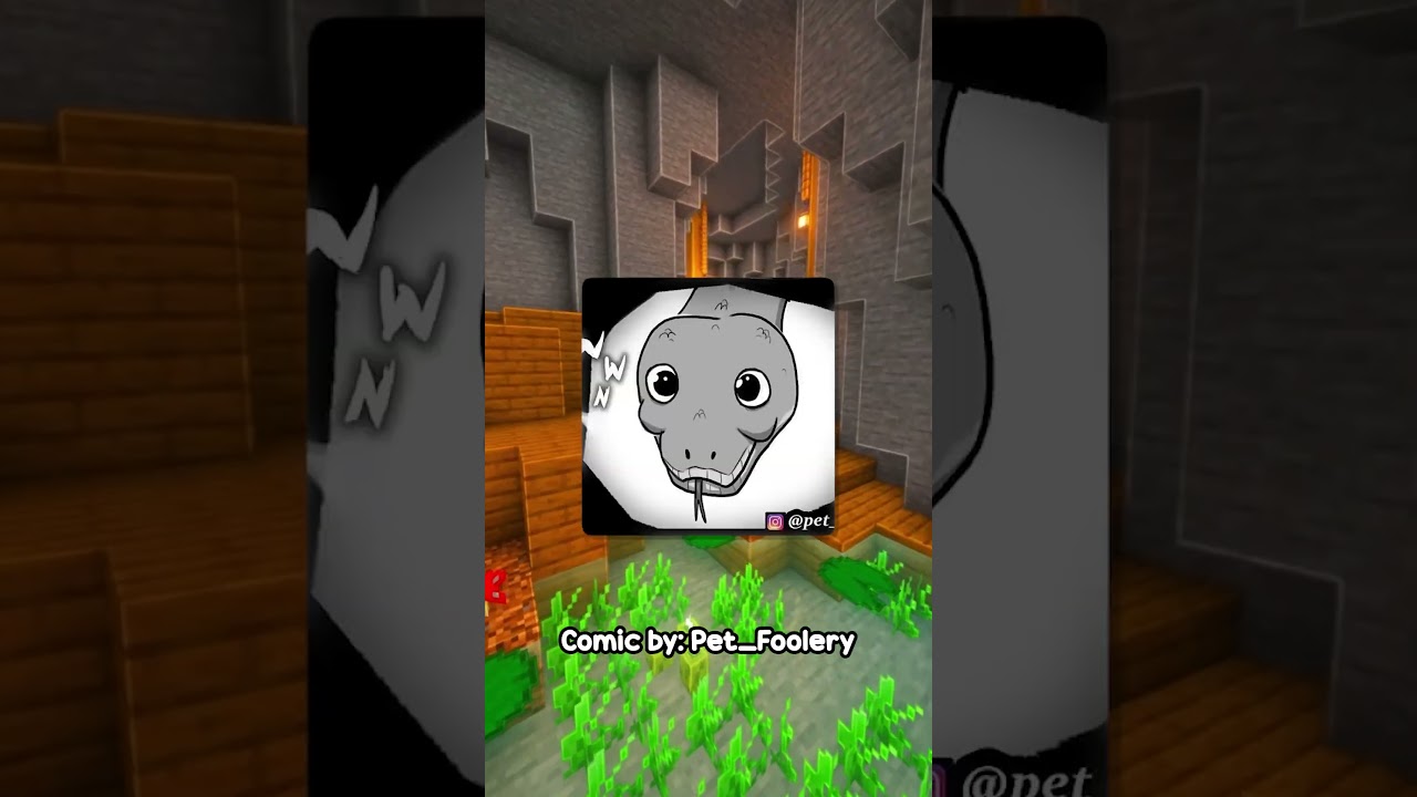 Getting A New Pet!