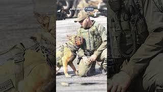 Suspect Dead, K-9 Wounded After Shootout #KootenaiCounty #NorthIdaho #CourtNews #HNN