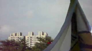 鸚鵡~紅猩猩990801~33