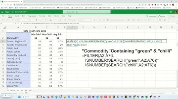 How to do partial match with FILTER function - Excel Tips and Tricks