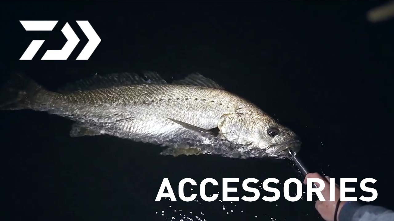 Bait Junkie 6.2" Minnow