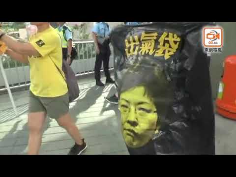 土地辯論遊行有人揮港英旗　學者批圖刺探政府底線