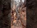 Secret Slot Canyon of Ancient Mysteries in Southern Utah