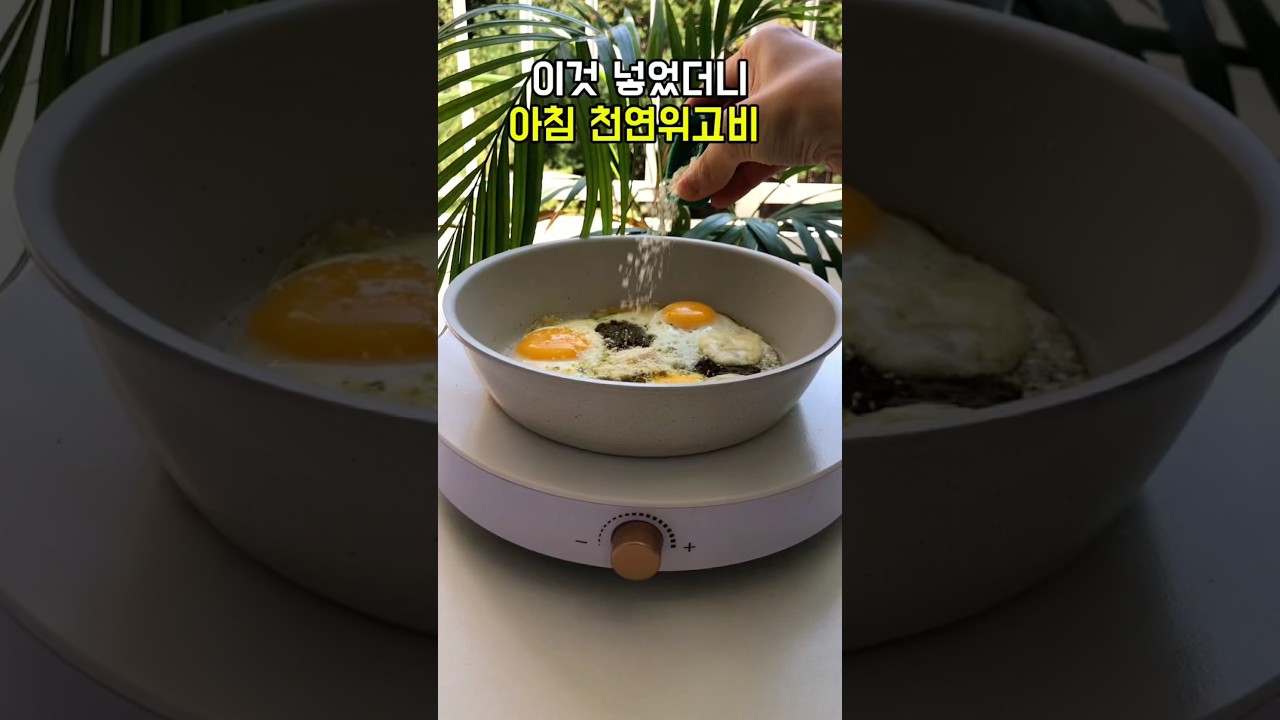 바질 페스토 계란 치즈 아침 요리 — 건강한끼 레시피 썸네일
