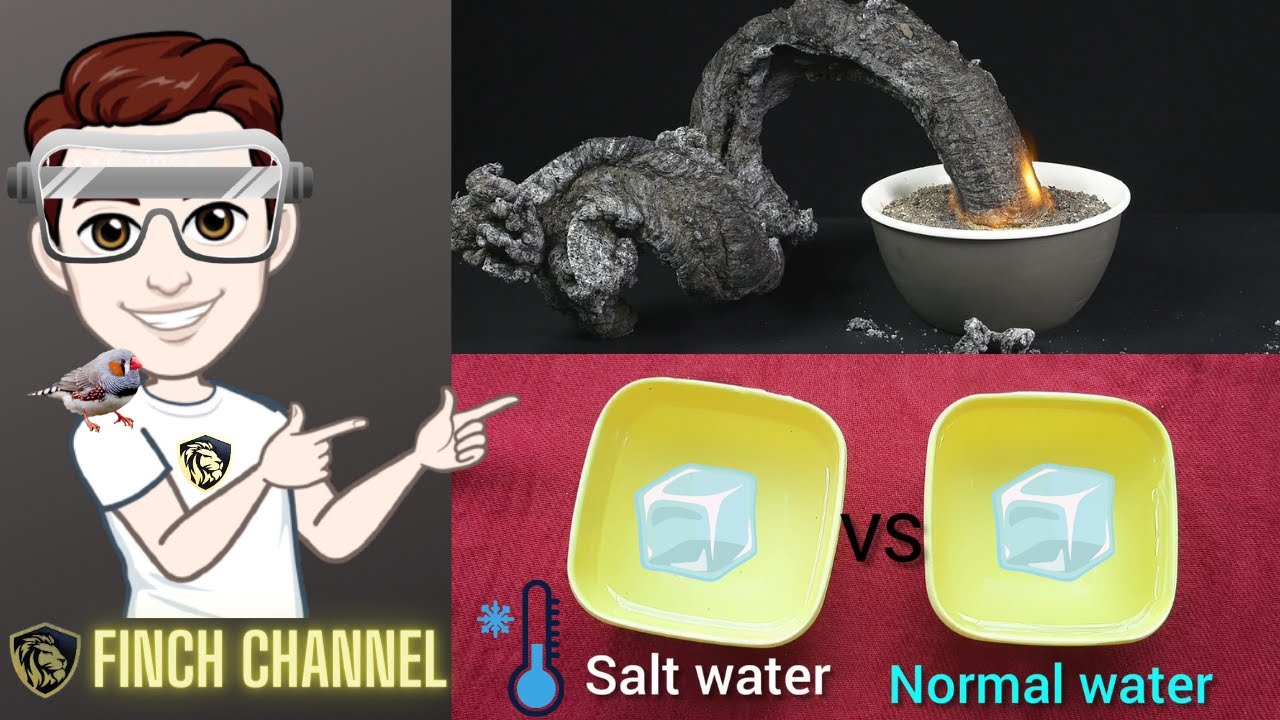 3 Awesome Science Experiments | How to make Sugar Snake (Chemistry) | FINCH CHANNEL SIDDHARTH