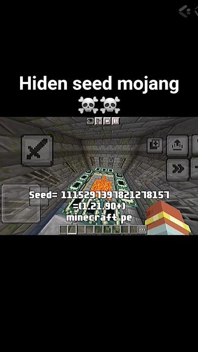 hidden#seed#mojang###🤩🤩 #speedsong