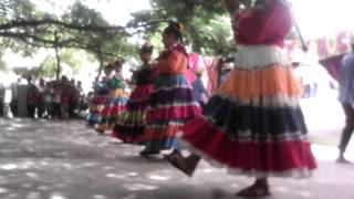 Baile La Tuza