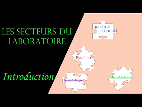 Les secteurs au laboratoire d'analyse médicale