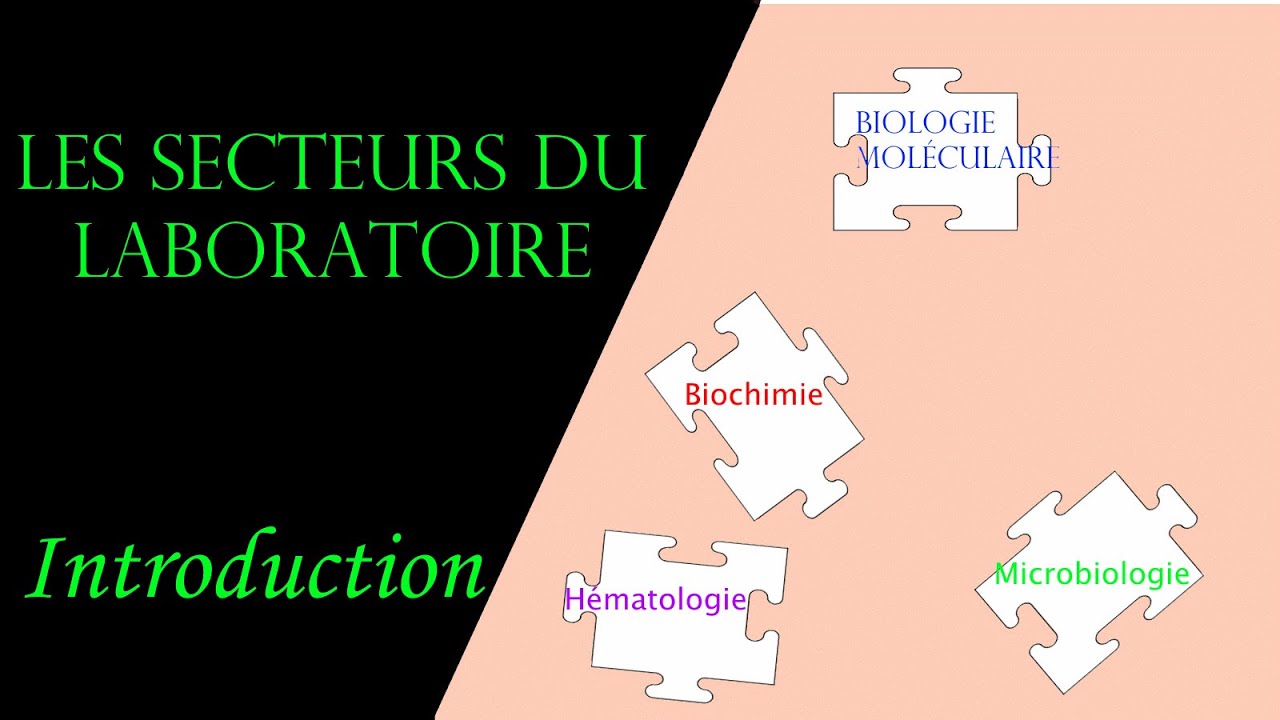 Les secteurs au laboratoire d'analyse médicale