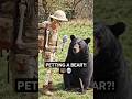 Can You Pet a Black Bear… and Survive? 🐻💀 (Mr. Bones Tries It)