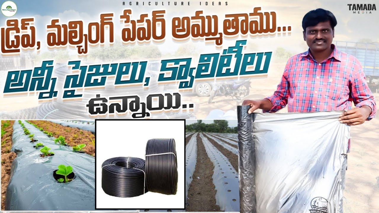 డ్రిప్,మల్చింగ్ కవర్ అమ్ముతాము | Low Cost Drip And Agriculture Mulching Sheet | Shiva Agri Clinic