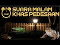 suara jangkrik MP3!!! suara alam pedesaan malam hari