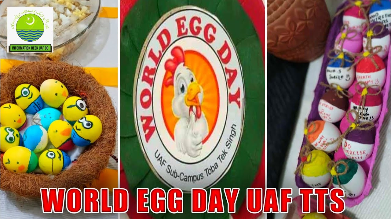 Egg Day of Agriculture University Faisalabad Sub Campus Toba Tek Singh | Information Desk UAF