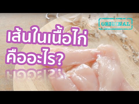 เส้นในเนื้อไก่คืออะไร? | รู้หรือไม่ - DYK