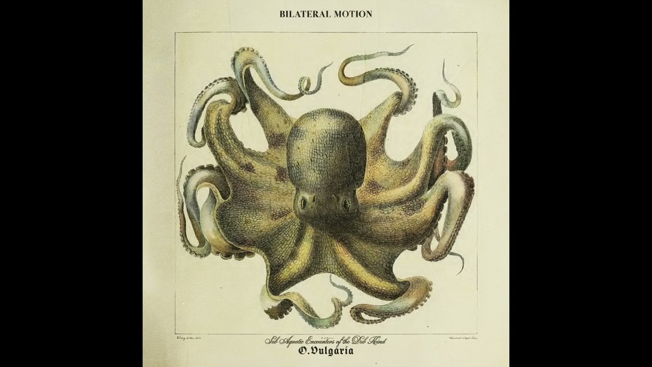 Bilateral Motion - Cloud of Ink