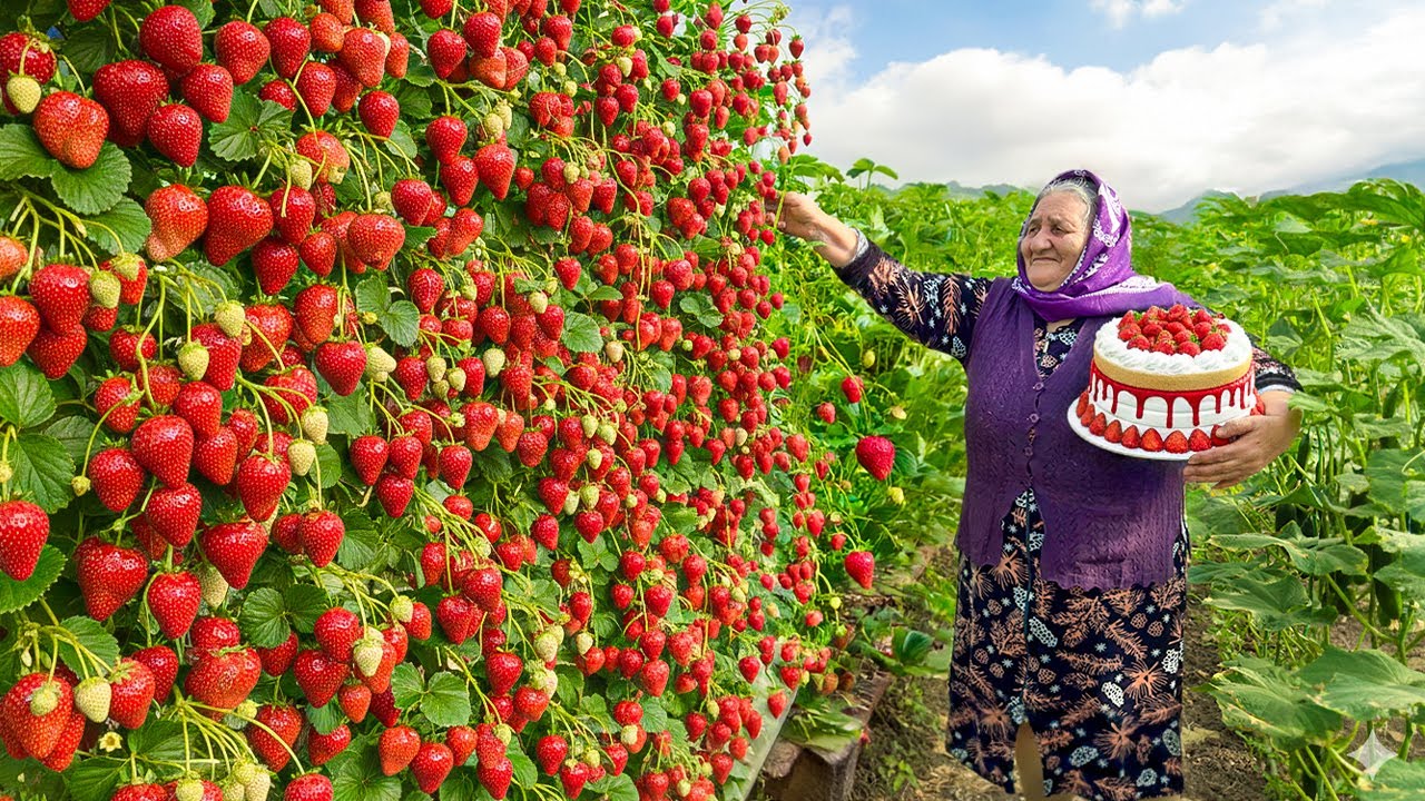 Клубничный Фруктовый Кекс: Быстрый И Простой Рецепт Домашнего Десерта От Бабушки!