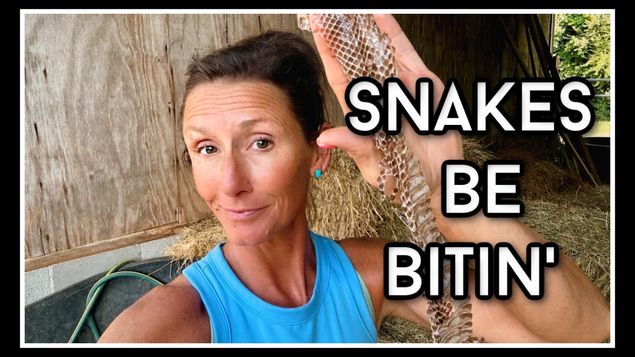 😬 Snakes be Bitin'...