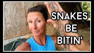 😬 Snakes be Bitin'...