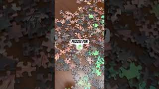 Testing my patience!! 🤯 #puzzles #puzzlesolving #youtubeshorts