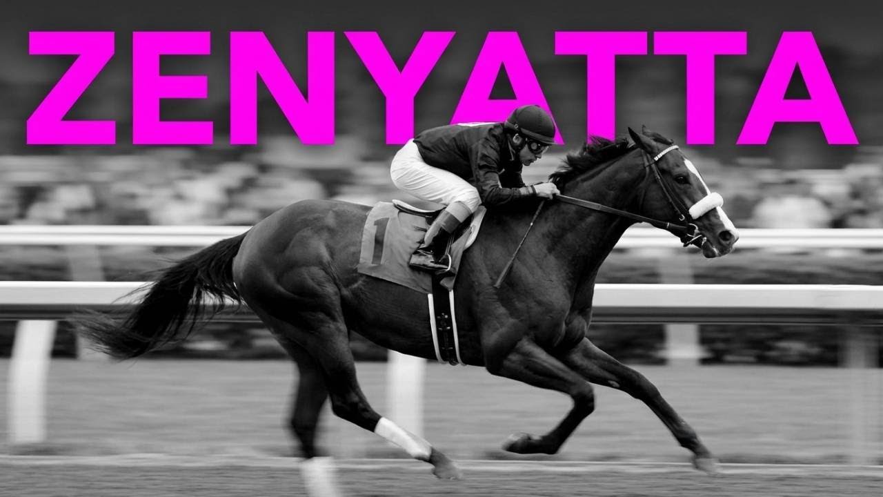 The Greatest Mare in Race Horsing History: Zenyatta