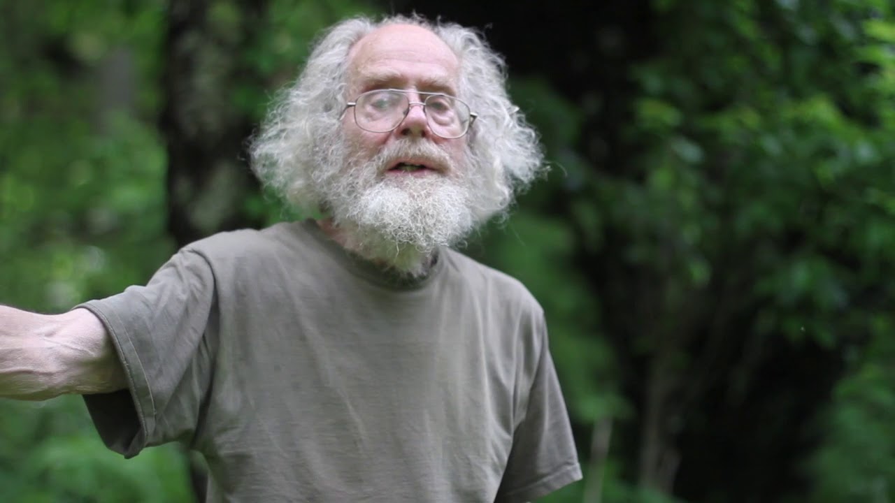 Лесная крапива и жгучая крапива