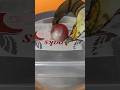EXPERIMENT Glowing 1000 degree METAL BALL vs plastic #youtube #share #shorts