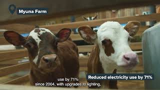 Casey's Climate Action Plan