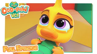 The Baby Has a Tummy Ache  BRAND NEW OddPaw Vet Episodes  Animal Doctor Cartoons