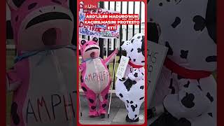 Abdliler Beyaz Saray Önünde Maduronun Kaçırılmasını Protesto Etti