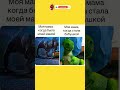 #мем #мемы #жиза #юмор#смешновидео #позитив #прикол #анекдоты #ржака