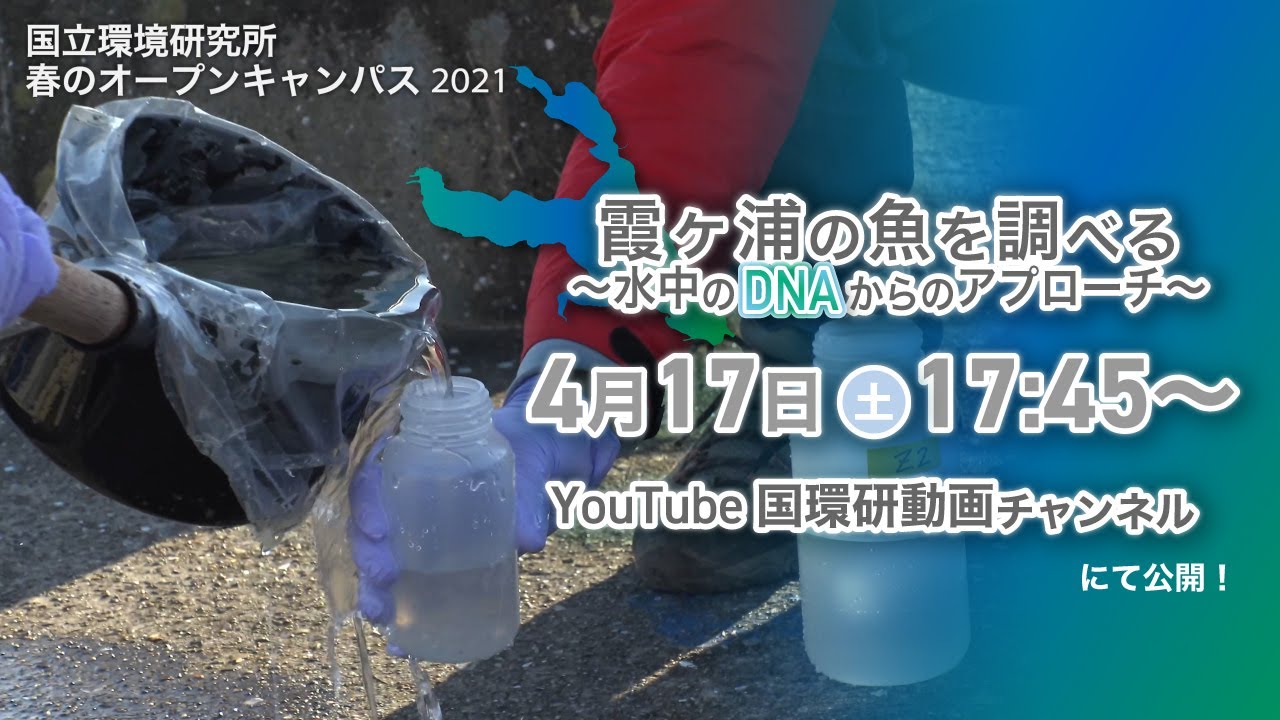 春のオープンキャンパス21 環境dna 霞ヶ浦の魚を調べる 水中のdnaからのアプローチ Youtube 春のオープンキャンパス21 環境dna 霞ヶ浦の魚を調べる 水中のdnaからのアプローチ Youtube