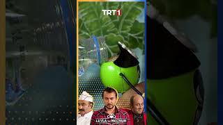 İskender’i Nereye Götürecekler
