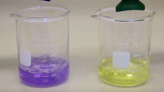 Plum Eye Wash- The Effect Of Ph Neutral