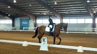 CBLM Championships Second Level Test 2 Katie Novotny and Cosmic Messenger