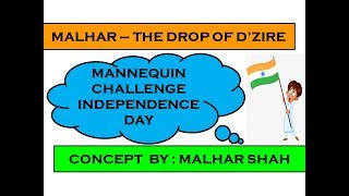 Mannequin Challenge - India Independence Day