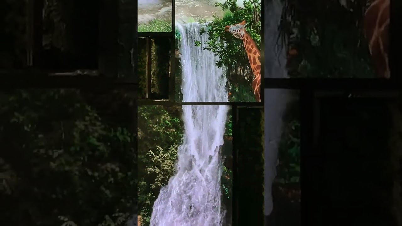 Phoenix Mall of Asia | Bangalore's Biggest Shopping Mall 