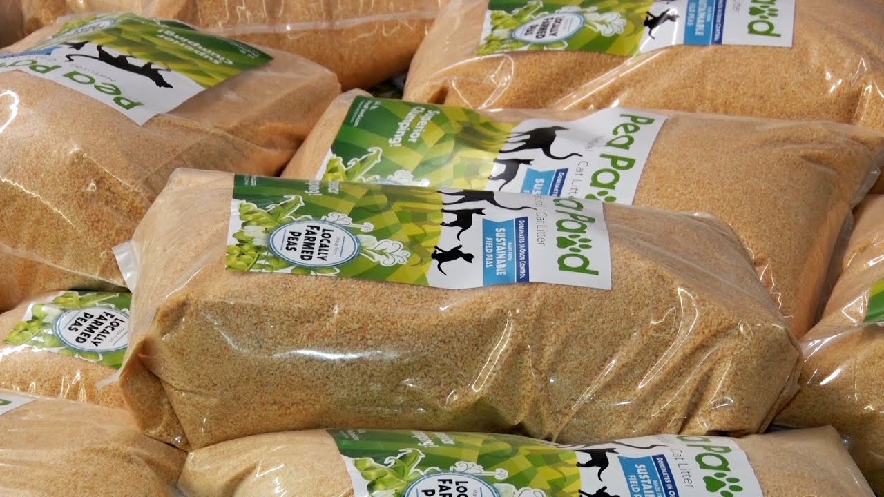 In Business Fosston Business Selling a New Kind of Kitty Litter YouTube