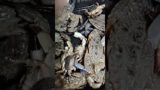 nang huli nanaman kami @#shortsvideo #shortsviral #asmr#nature #food