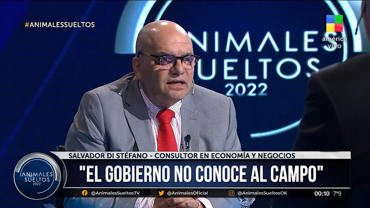 Salvador Di Stfano, consultor en economa: "El Gobi...