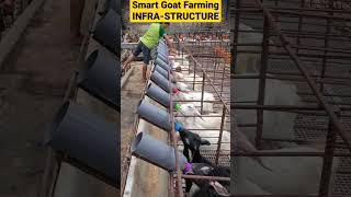 Easy & Reliable Smart Goat Farming Infrastructure