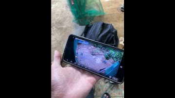 Lắp đặt Camera tại Lộc Tân Bảo Lâm Lâm Đồng 😁🥰#cameraphonglan #camera