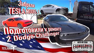 Забрали Tesla Model 3 2020 с ПТО &quot;Колядичи-Авто&quot;! Подготовили к ремонту два Dodge Challenger 2019!