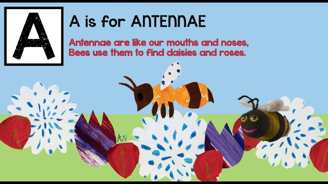 HELLO LITTLE HONEY BEE BOOK - ENGLISH - YouTube