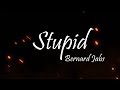Bernard Jabs Stupid Lyrics mp3