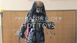 Predator AVP Elder Hot toys